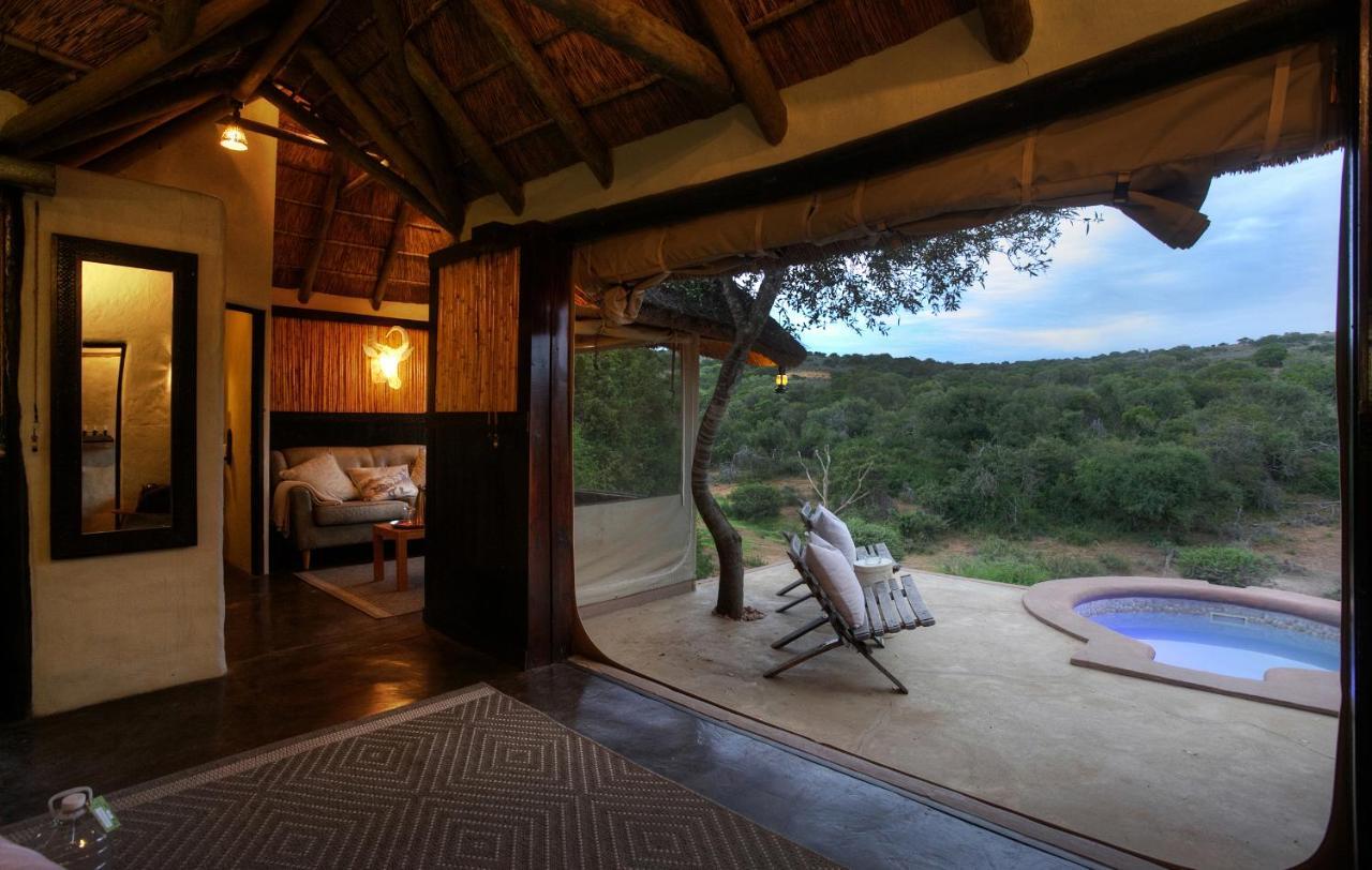 Safari Lodge - Amakhala Game Reserve Eksteriør billede