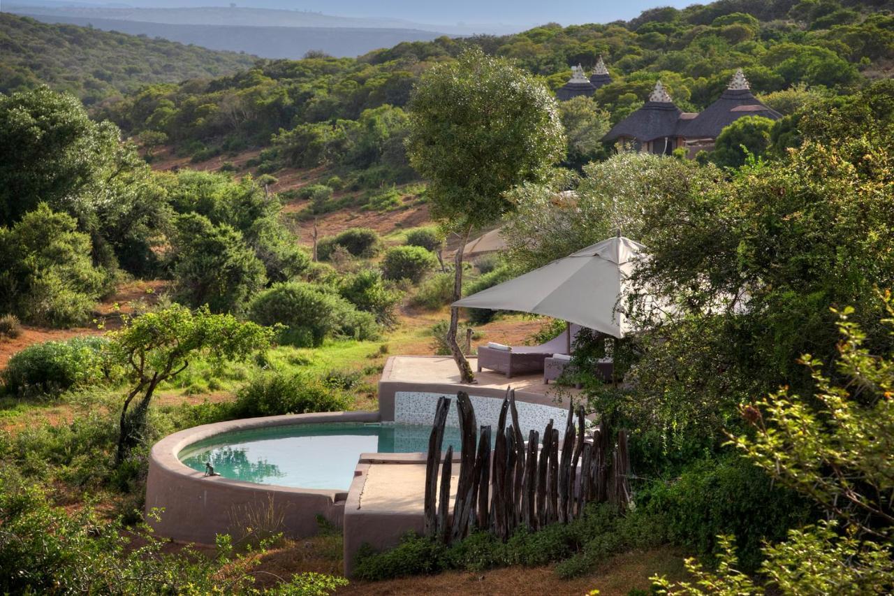 Safari Lodge - Amakhala Game Reserve Eksteriør billede