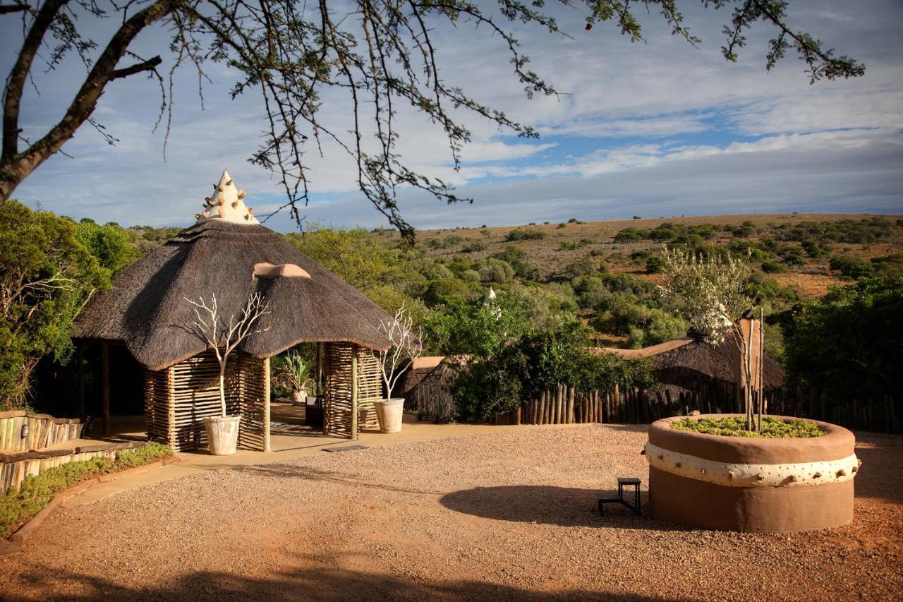 Safari Lodge - Amakhala Game Reserve Eksteriør billede
