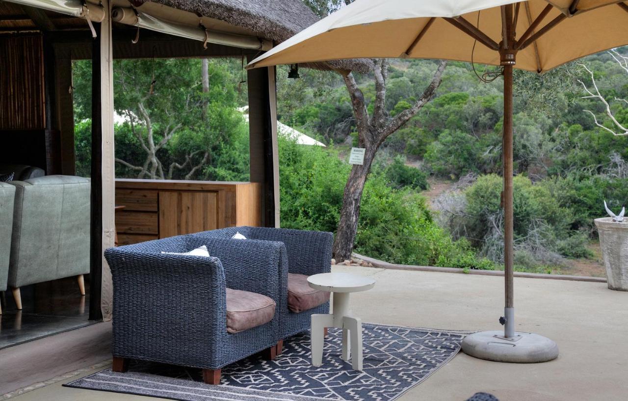 Safari Lodge - Amakhala Game Reserve Eksteriør billede