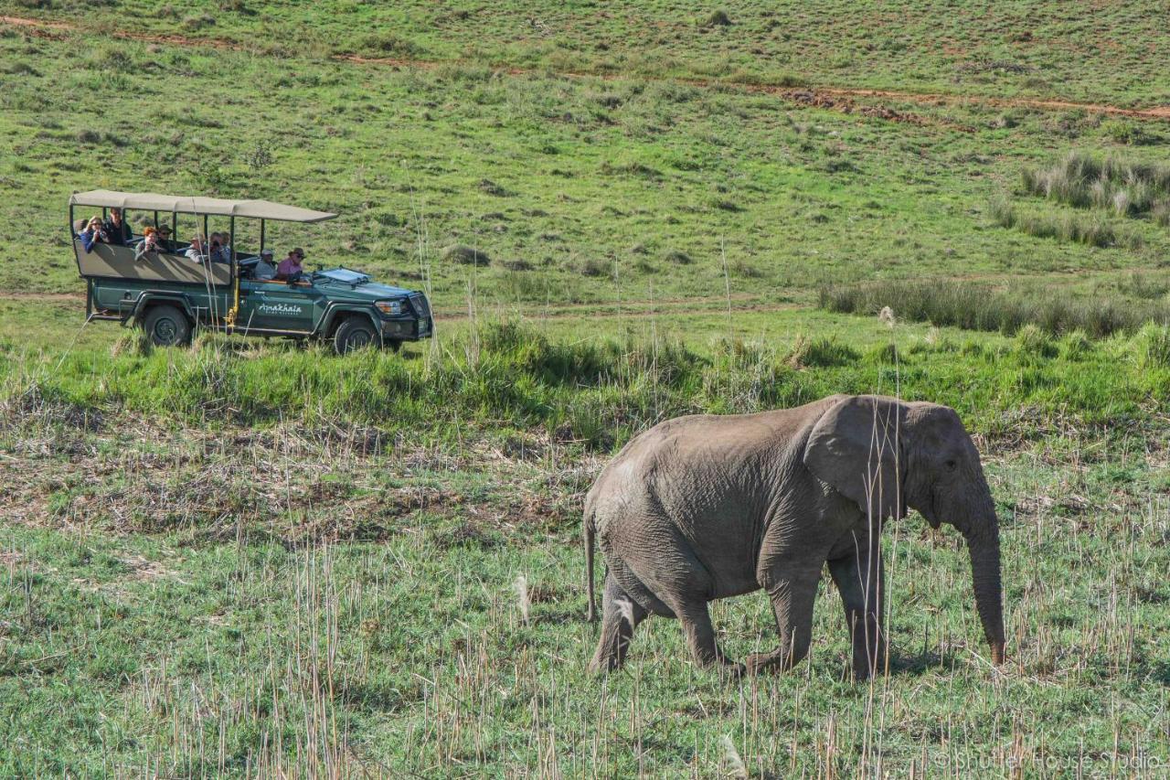 Safari Lodge - Amakhala Game Reserve Eksteriør billede
