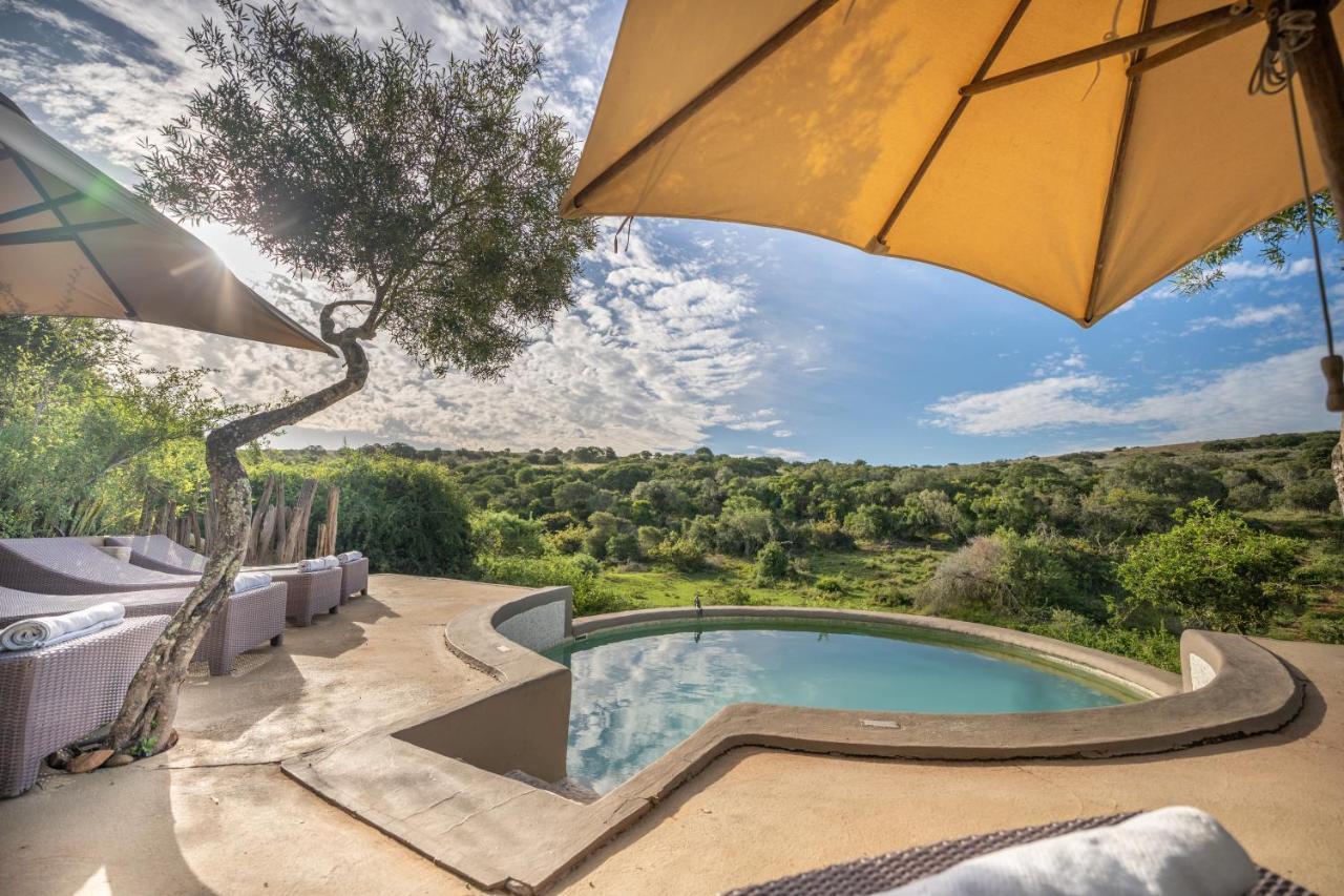 Safari Lodge - Amakhala Game Reserve Eksteriør billede