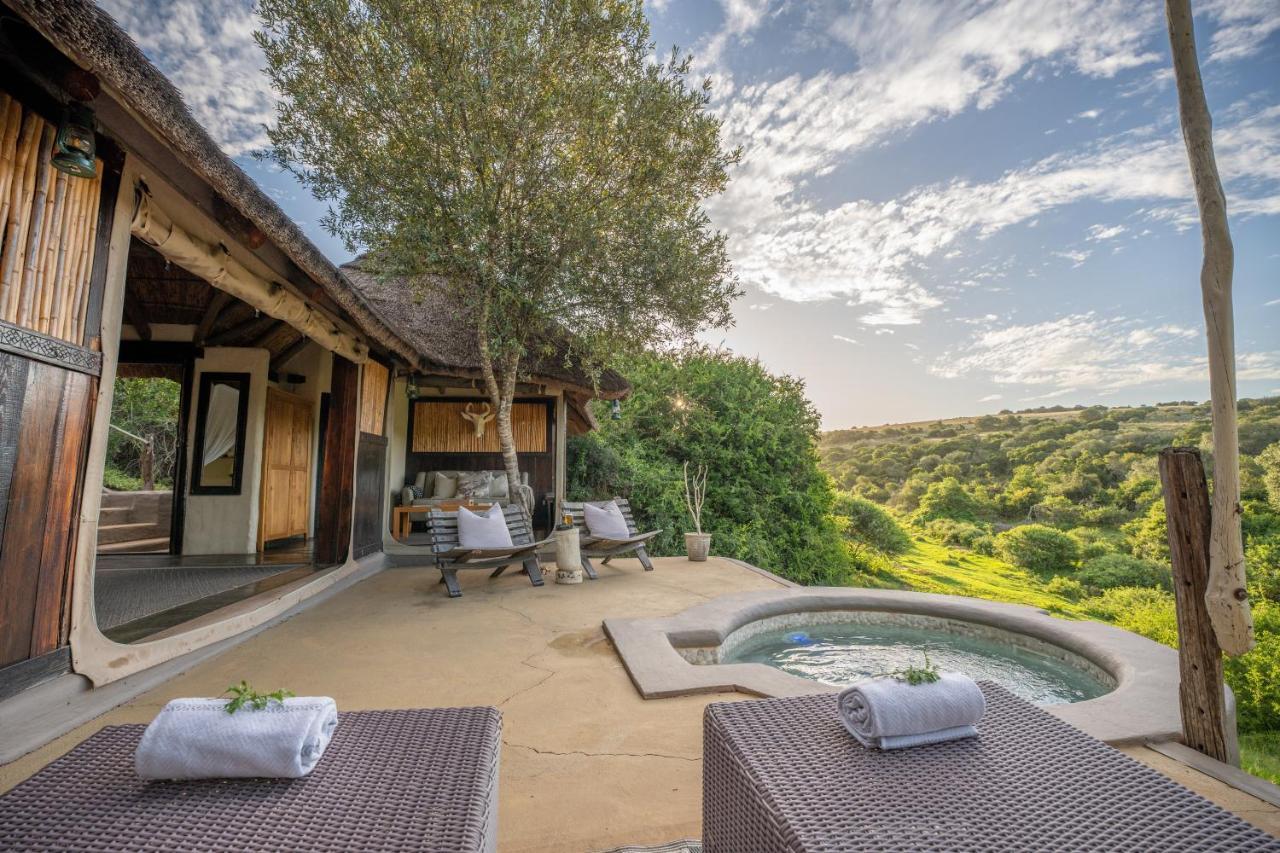 Safari Lodge - Amakhala Game Reserve Eksteriør billede