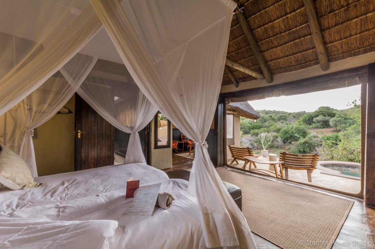 Safari Lodge - Amakhala Game Reserve Eksteriør billede